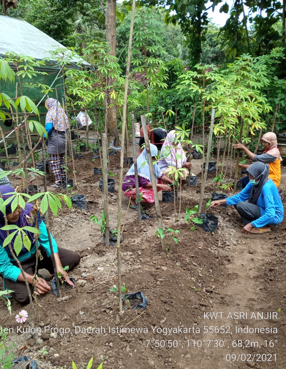 KWT Asri Mulai Menanam Sayuran di Demplot  